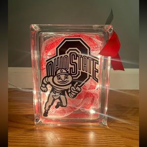 Ohio State plug in light